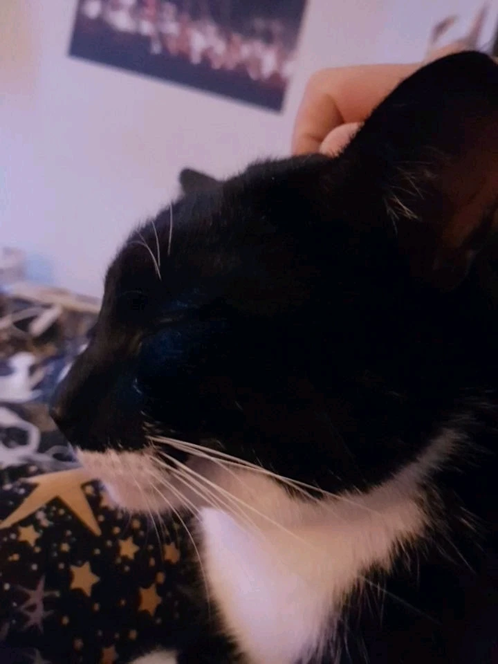 GIF uploaded by Tokwa