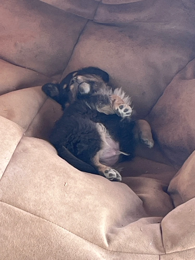 GIF uploaded by Patty