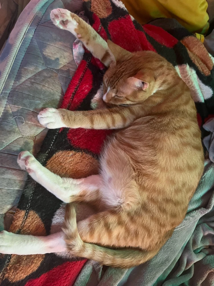 Imagen subida por Lourdes