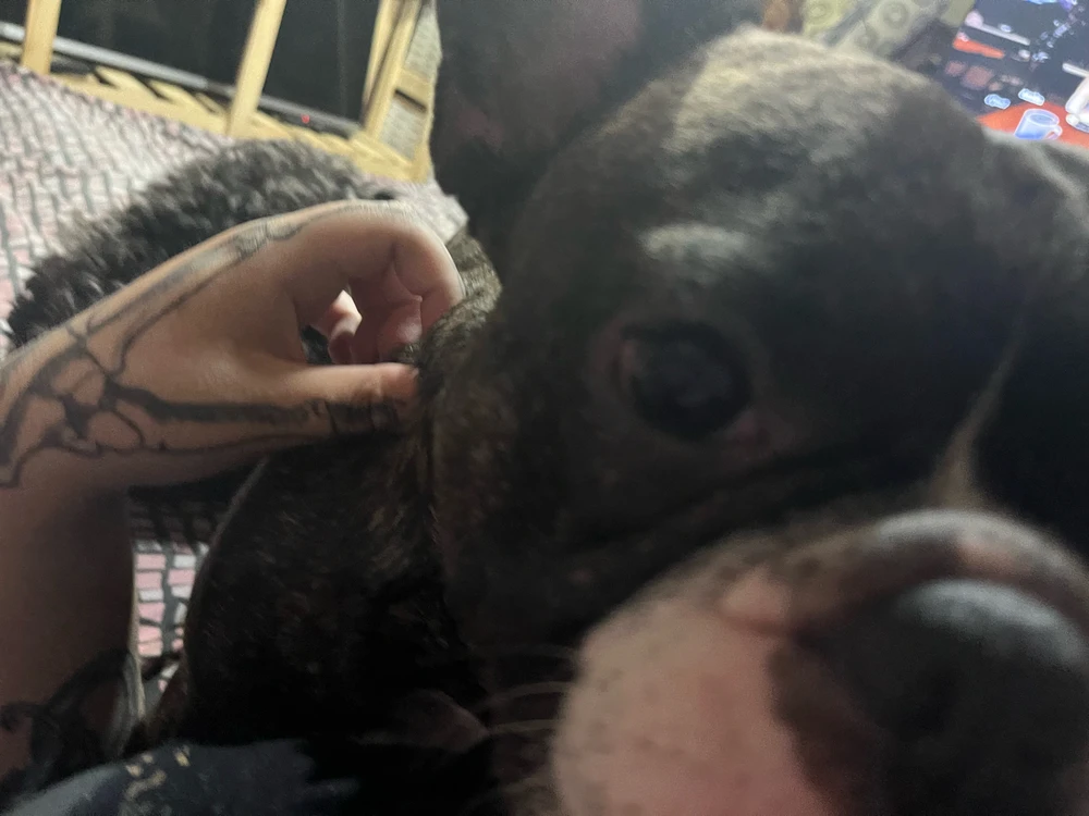 Imagen subida por Lourdes