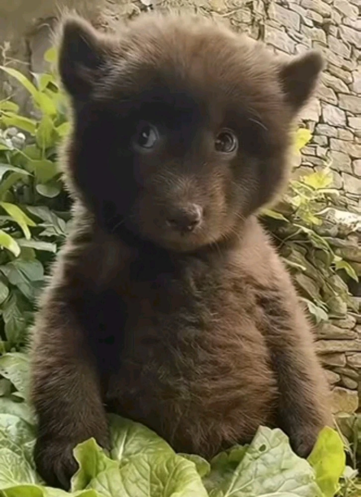 GIF uploaded by 𝓢𝓮𝓻𝓮𝓷 • 𝓢𝓮𝓻𝓮𝓷𝓭𝓲𝓹𝓲𝓽𝔂