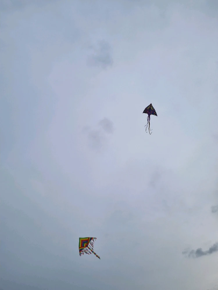 Imagen subida por Jocelyn