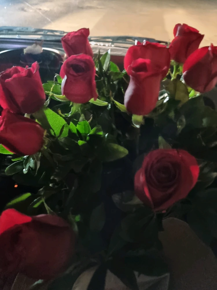 Imagen subida por Jocelyn