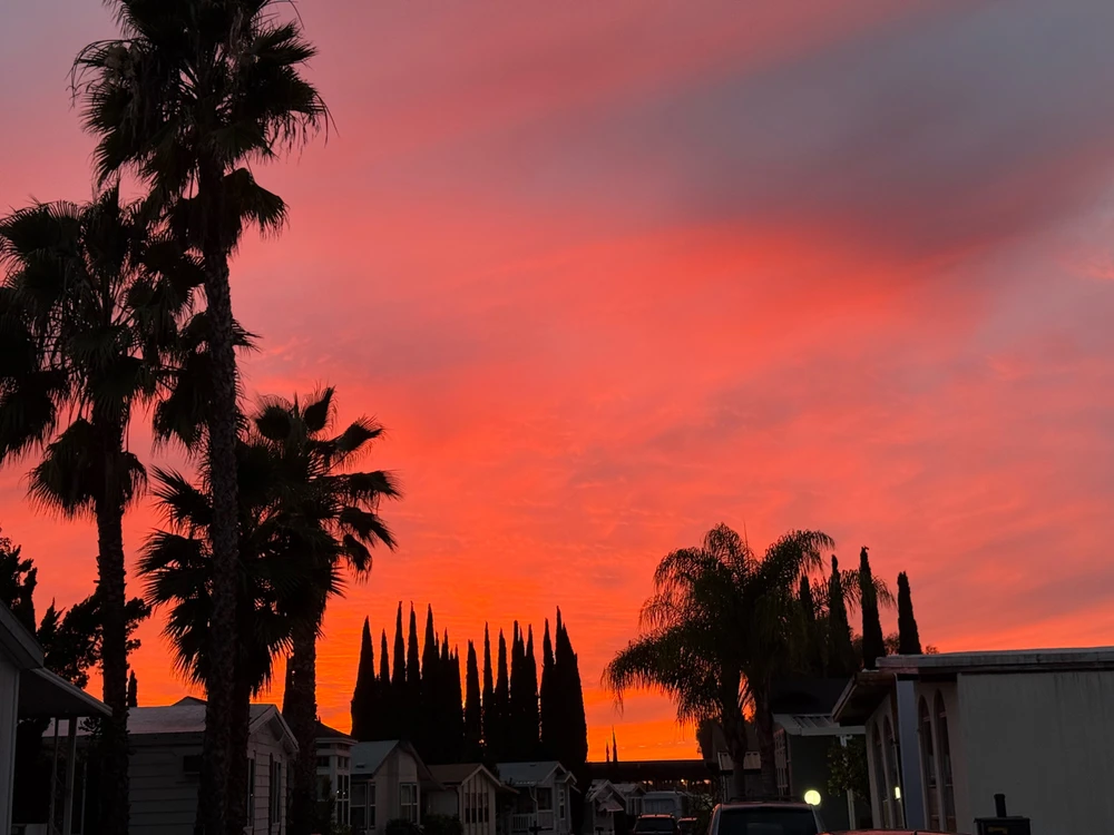 Image uploaded by Guy-O-Blanco