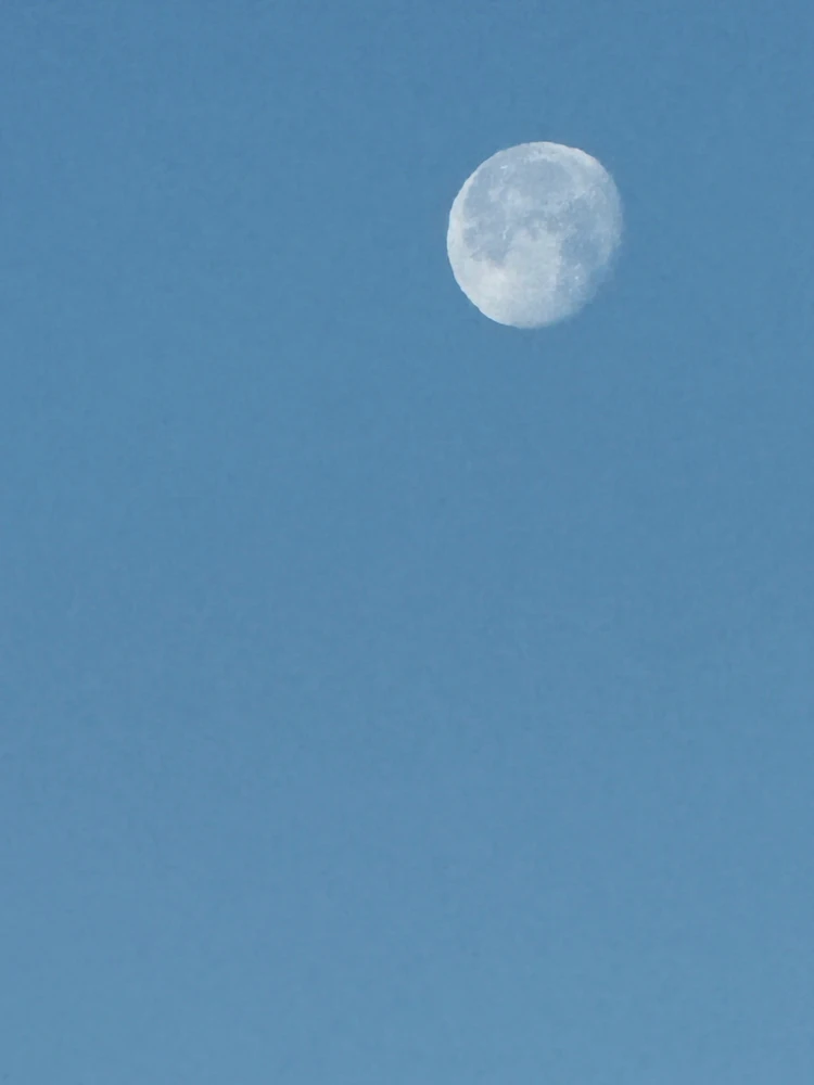 Image uploaded by Guy-O-Blanco