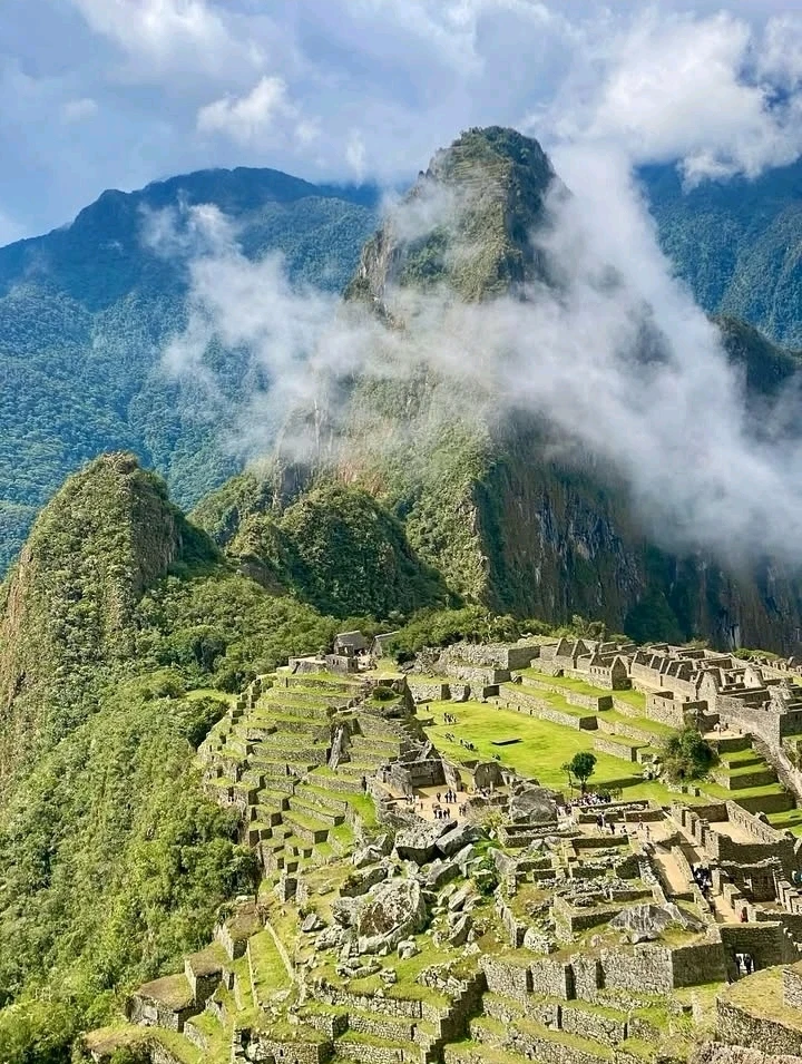 Imagen subida por Rous