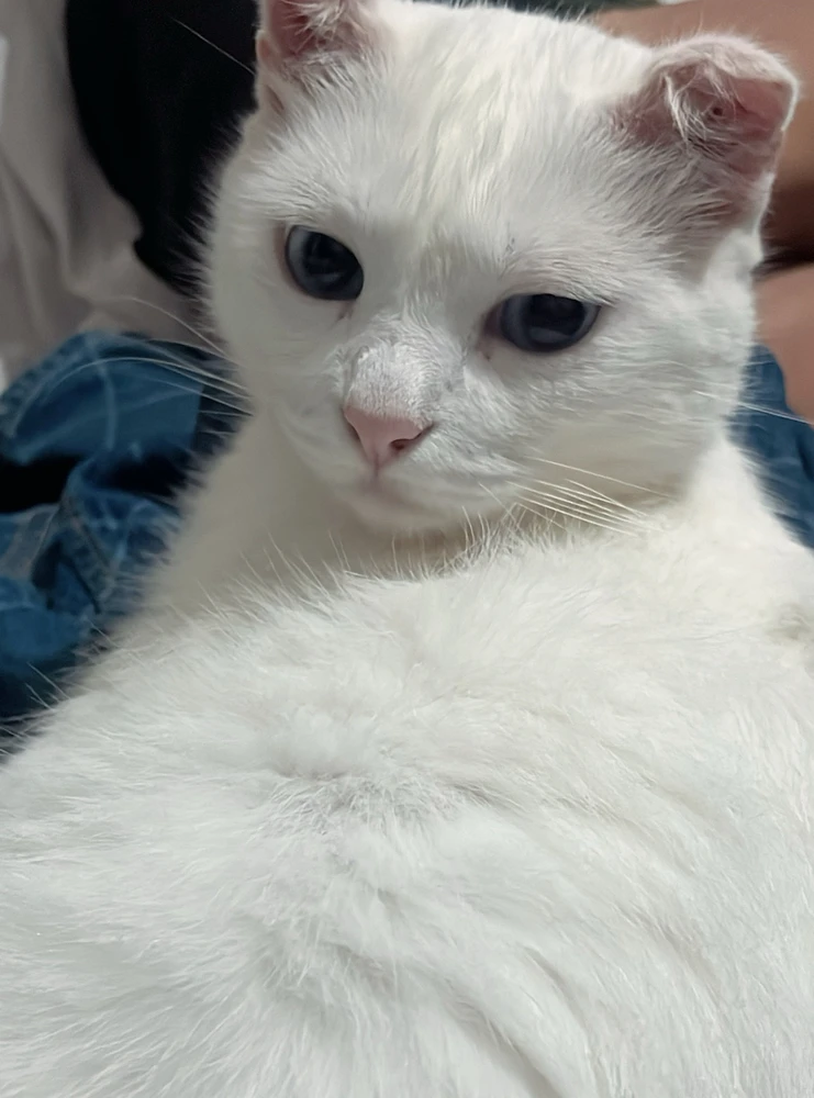 GIF enviado por Rick