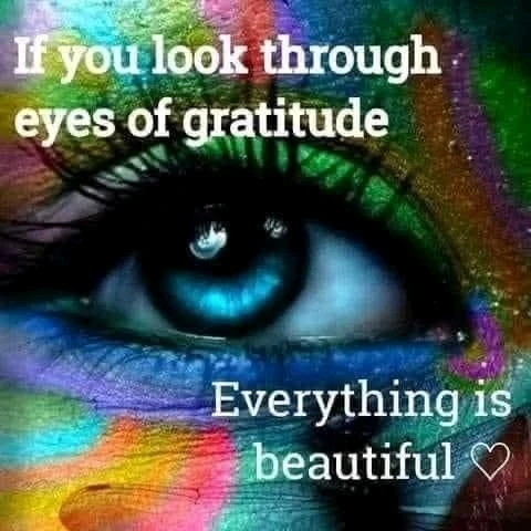 GIF uploaded by Kathy