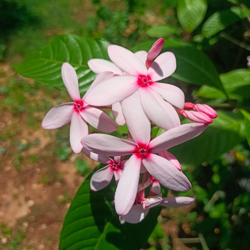 GIF uploaded by Bharath