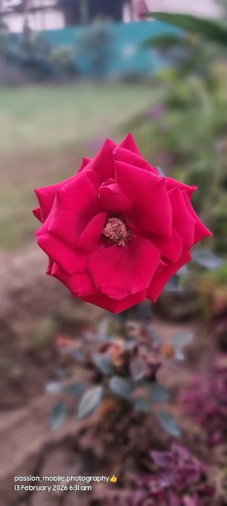 GIF uploaded by Chaitanya sah