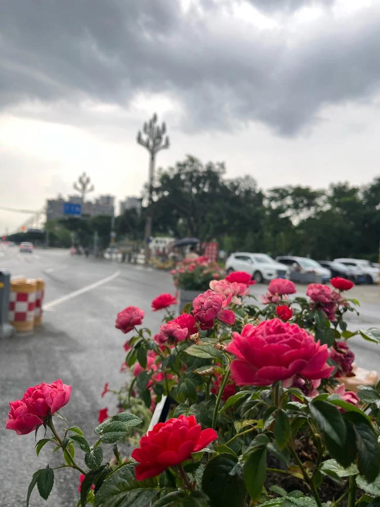 Image uploaded by Nila