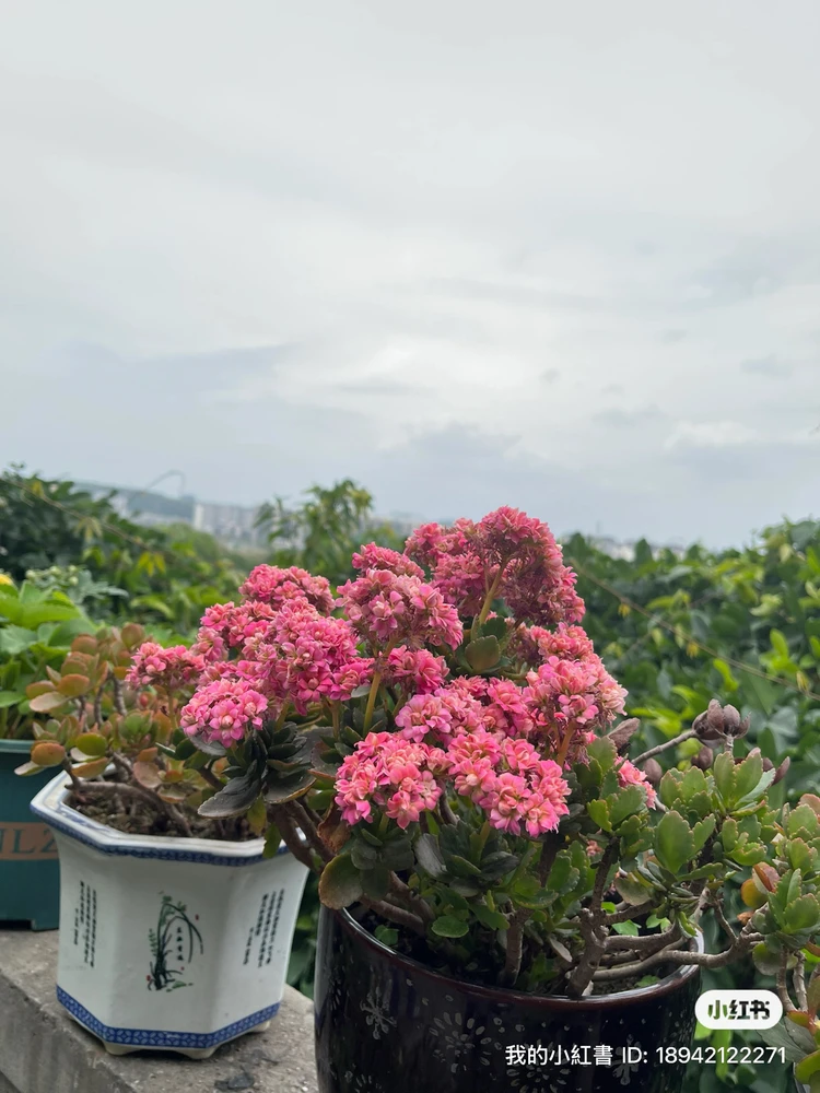 Image uploaded by Nila