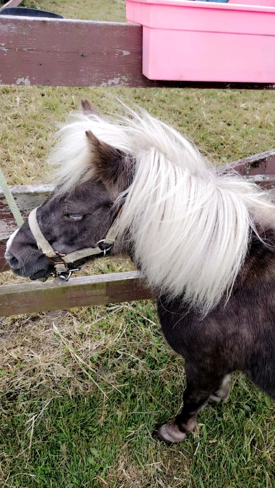 GIF uploaded by Devon