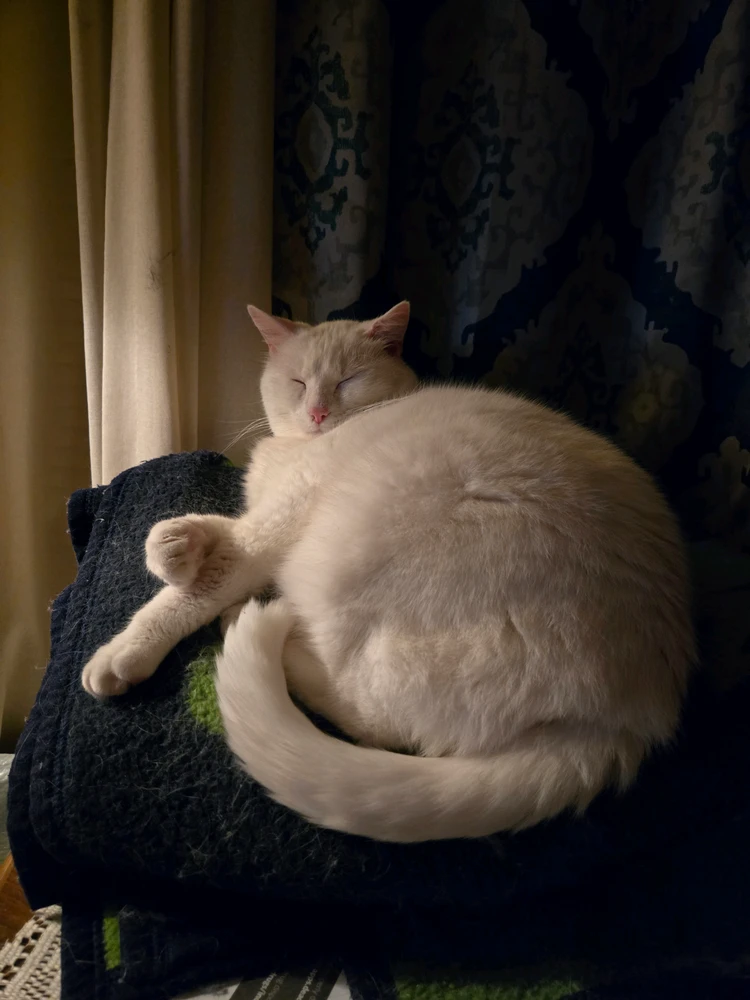 GIF uploaded by Zack