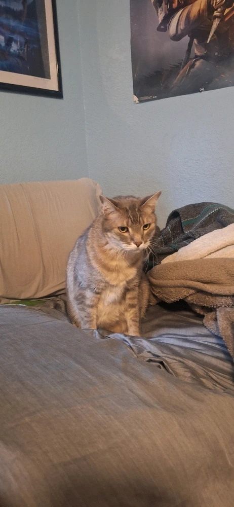 Image uploaded by Collin