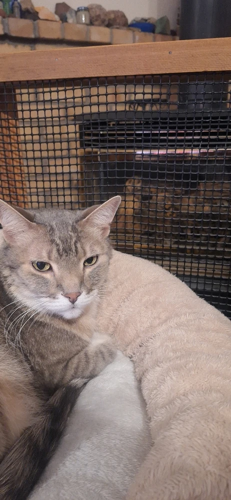 Image uploaded by Collin