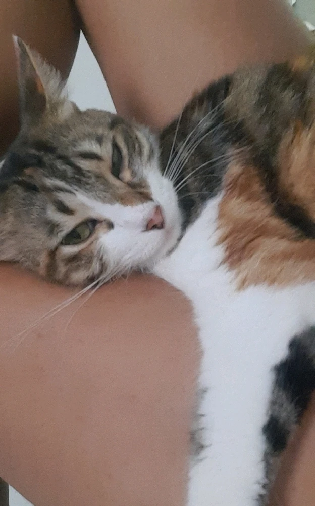 GIF enviado por Carolaine