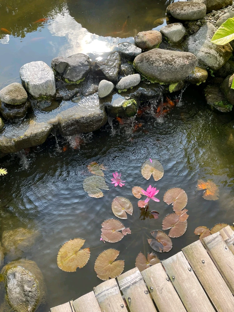 Image uploaded by Khristine