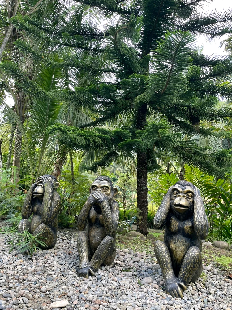 Image uploaded by Khristine