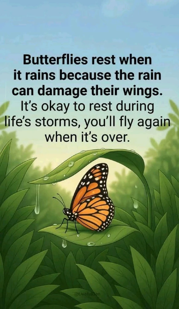 GIF uploaded by Charlene