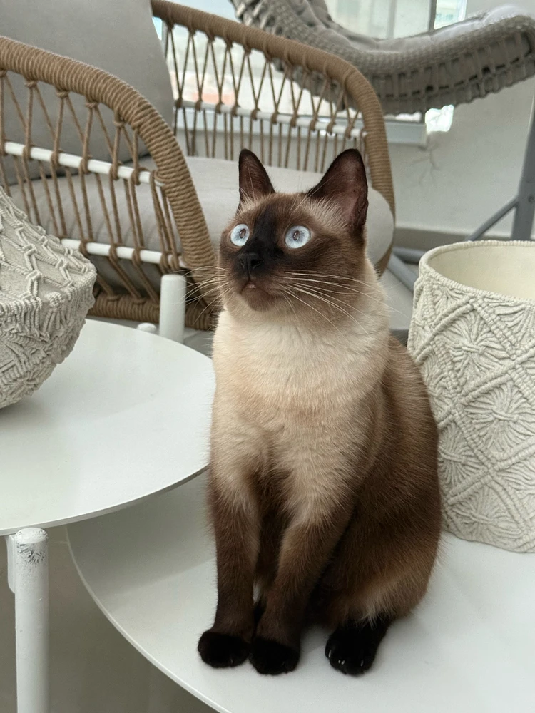 GIF uploaded by Luis