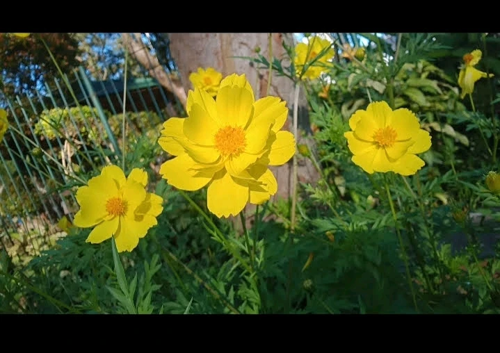 GIF uploaded by Quin