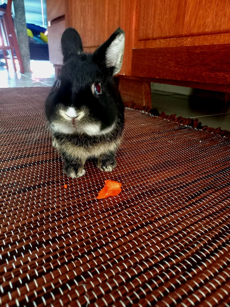 Imagem enviada por Duda