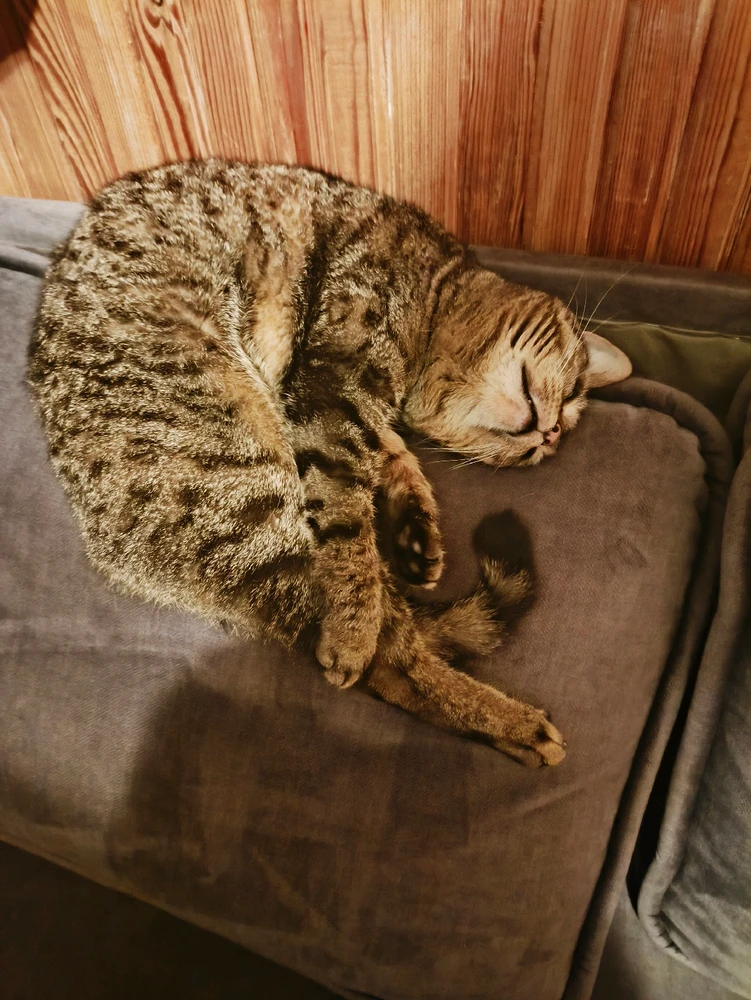 Фото загрузил Maksim