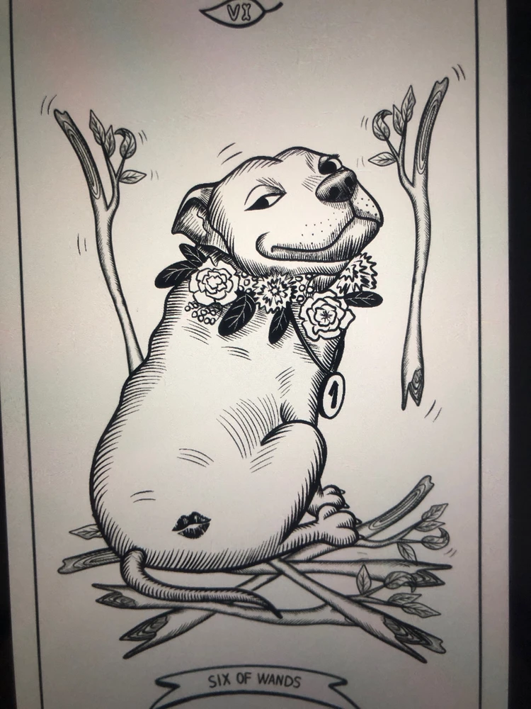 GIF загрузил Yulia