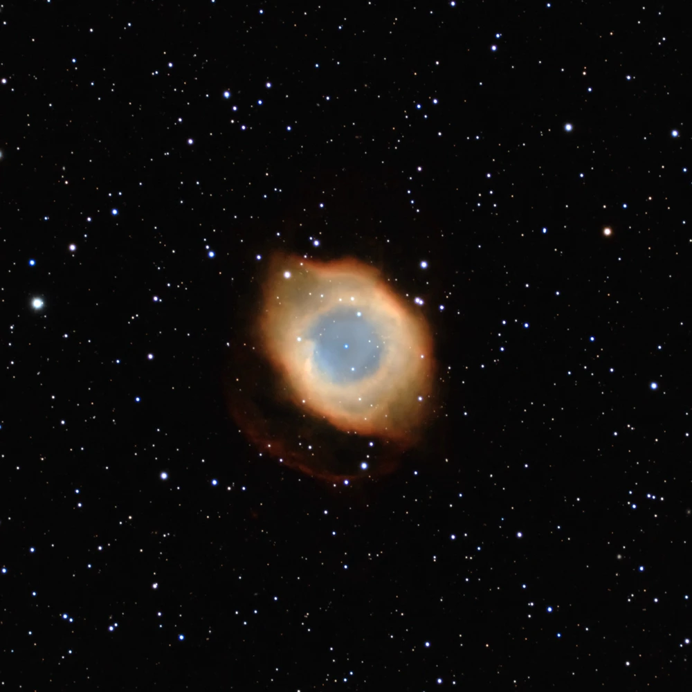 GIF diunggah dening Mitchell