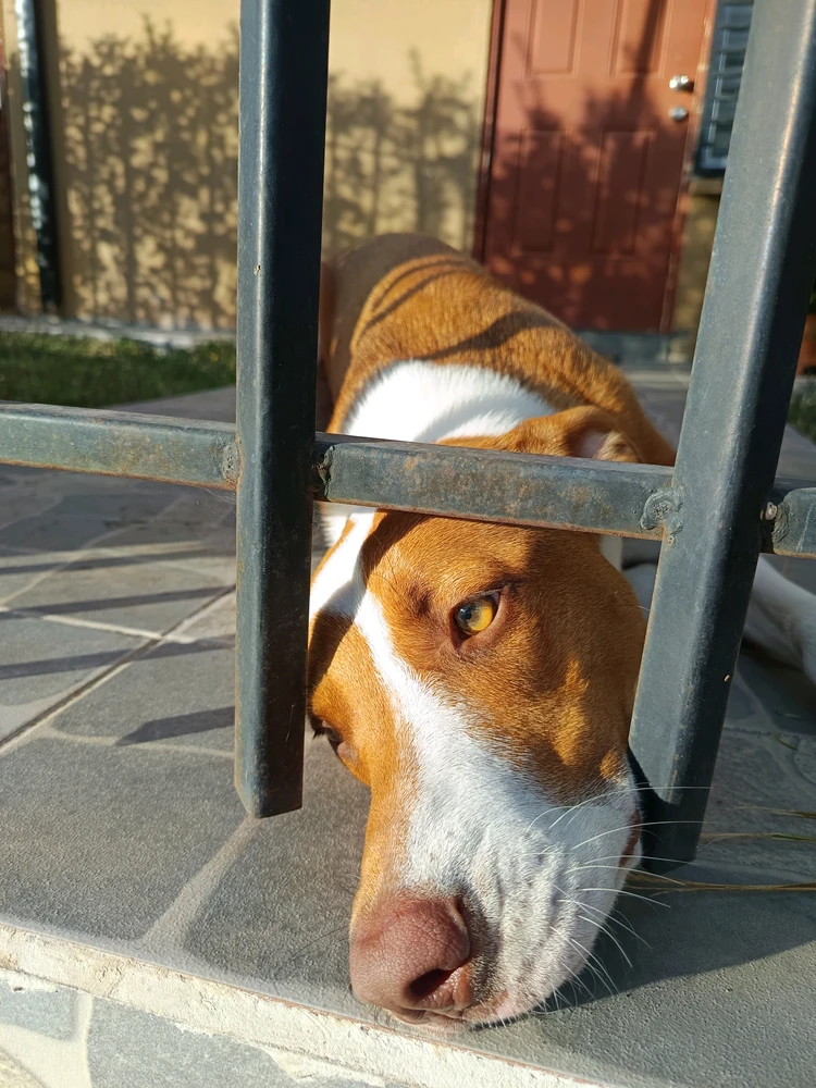 GIF subido por Emilio Vera Auspont