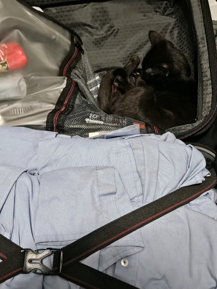 GIF uploaded by Michael