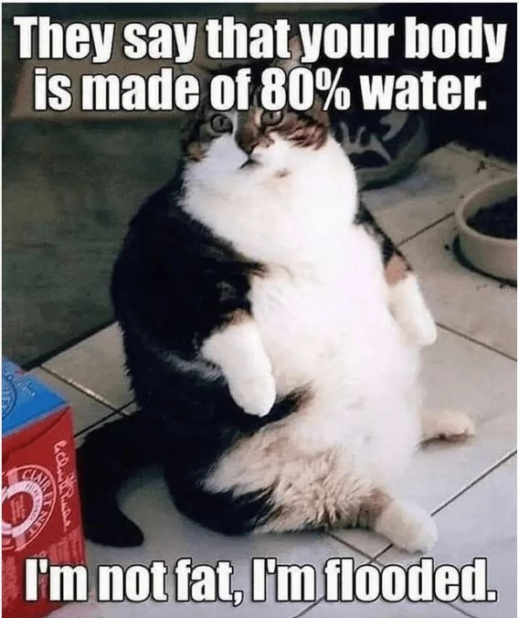 Bild hochgeladen von Der_Manul