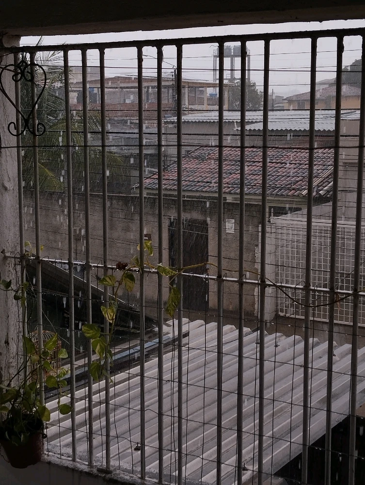 GIF enviado por Ester Cecília