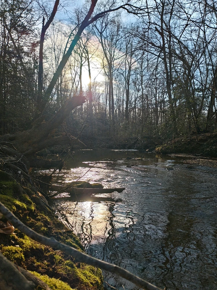 GIF uploaded by Amira