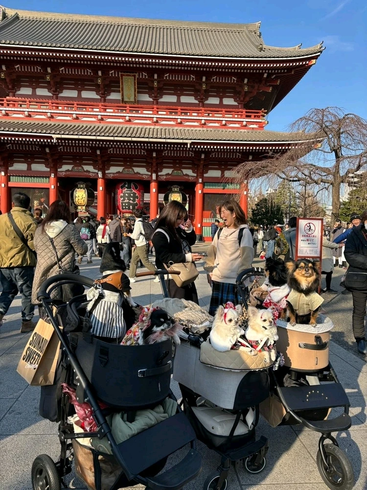 Image uploaded by Gin