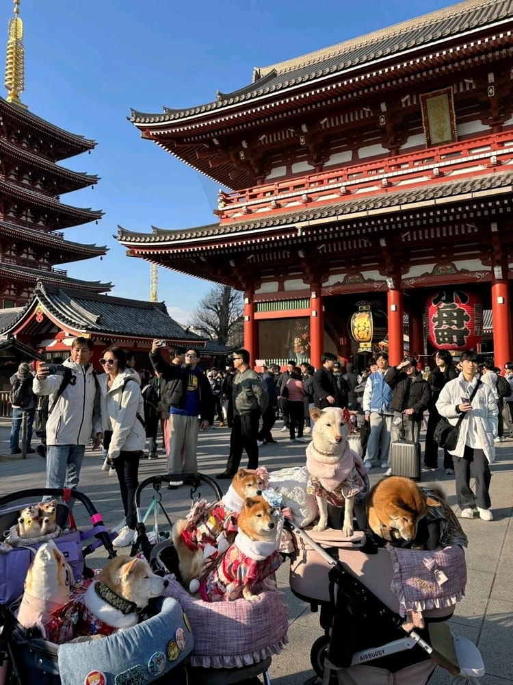 Image uploaded by Gin