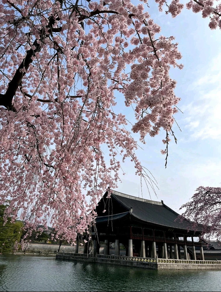 Image uploaded by Gin