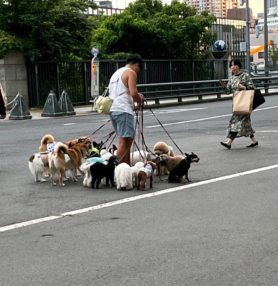 Image uploaded by Gin