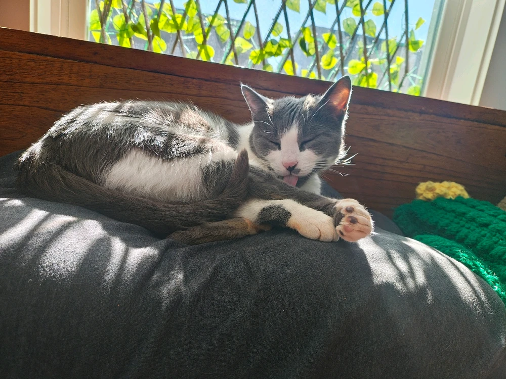 GIF uploaded by Amira