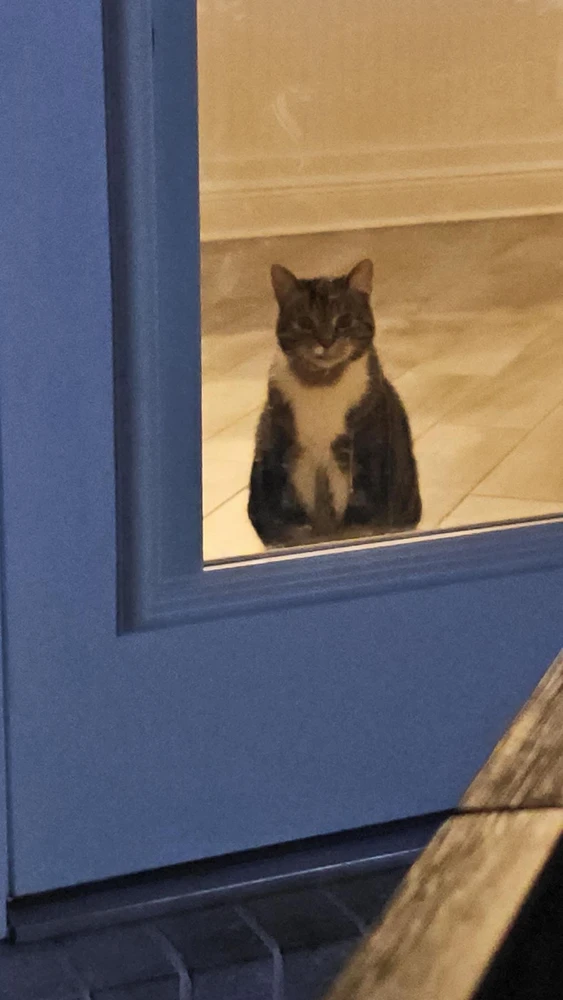 GIF diunggah dening Justin