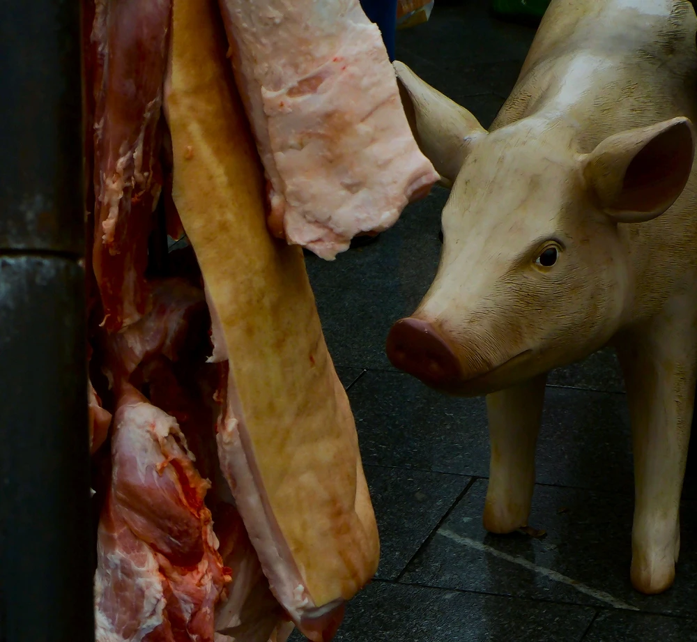 Obrázek nahrál Richard