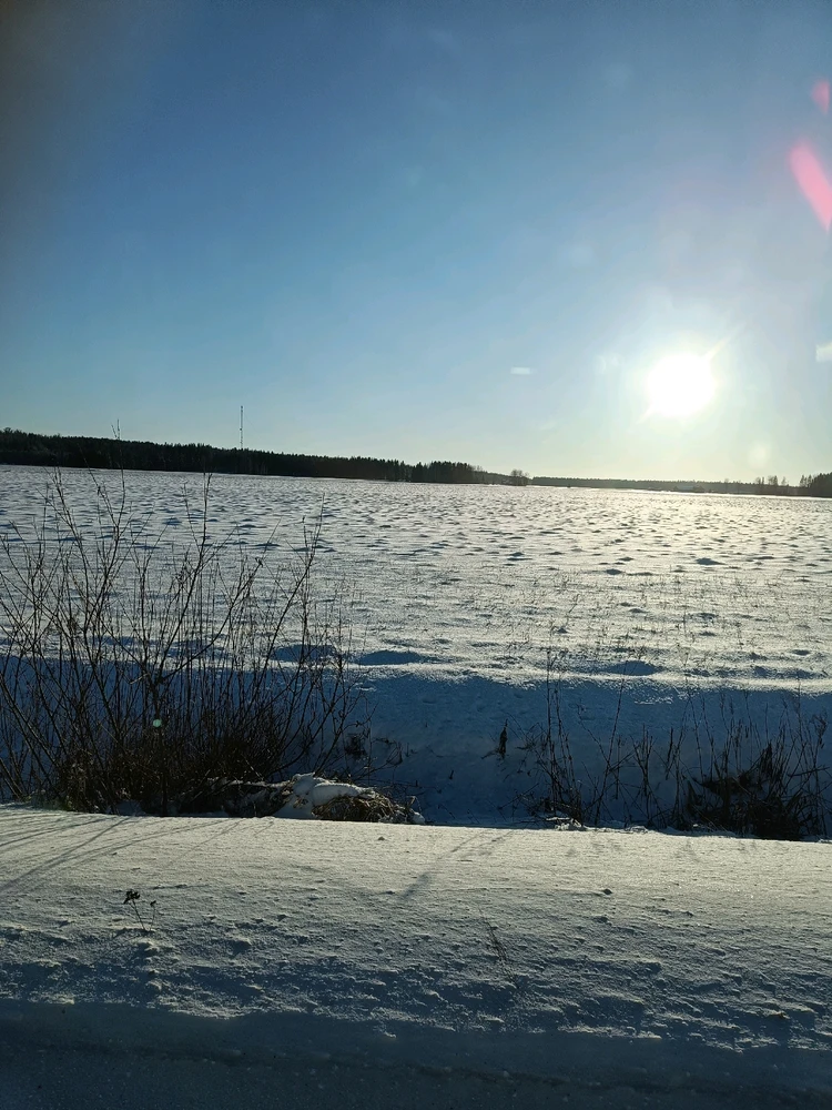 GIF uploaded by Joona