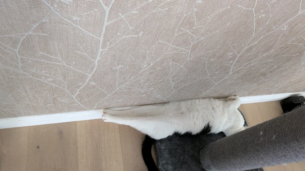 Image uploaded by Sarah