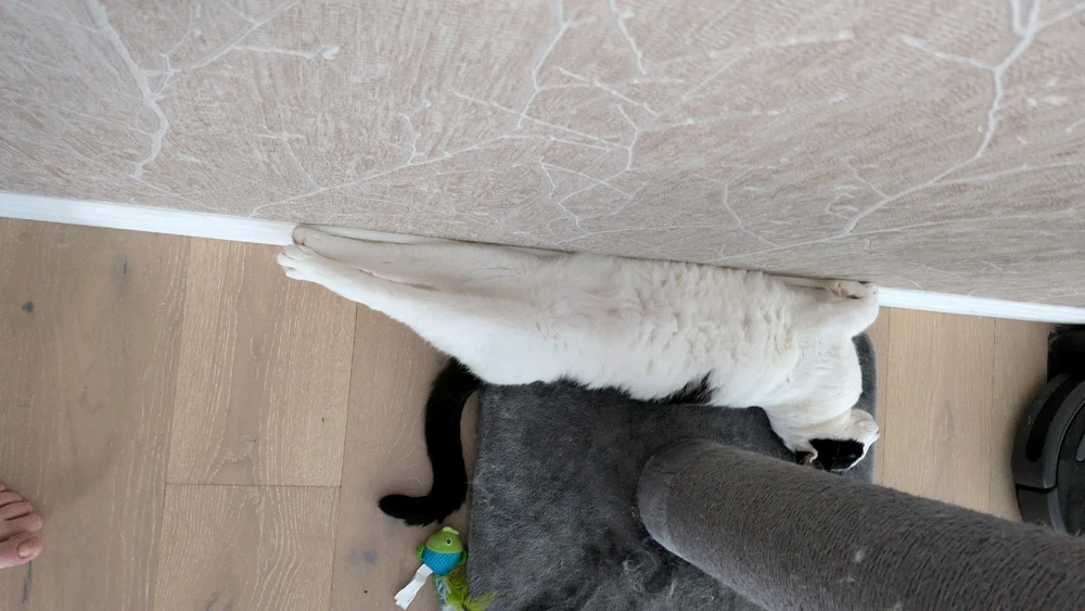 Image uploaded by Sarah