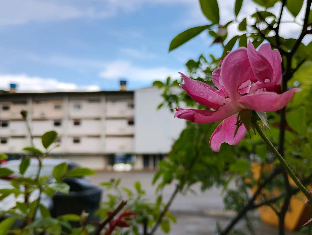 Imagem enviada por Victor