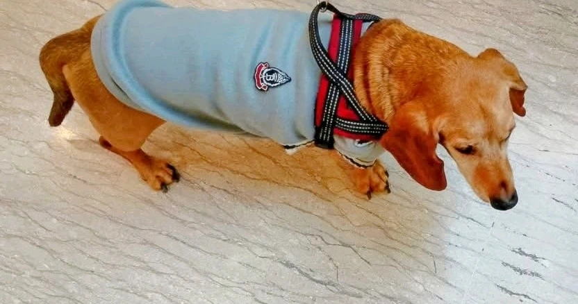 GIF caricata da Christian