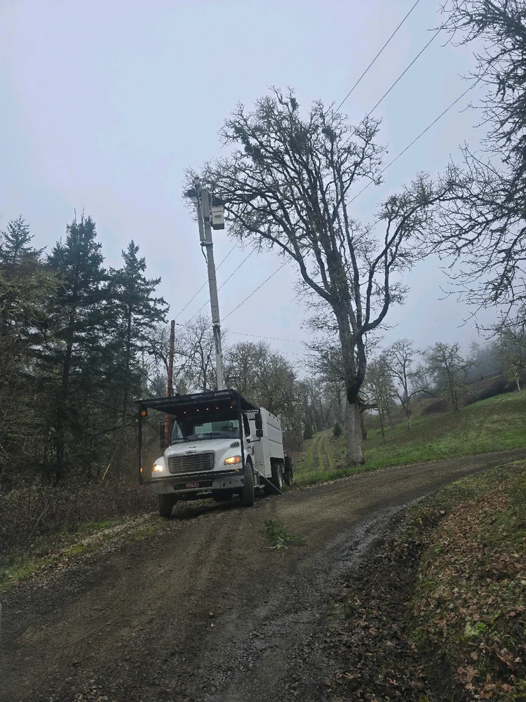 GIF uploaded by levii