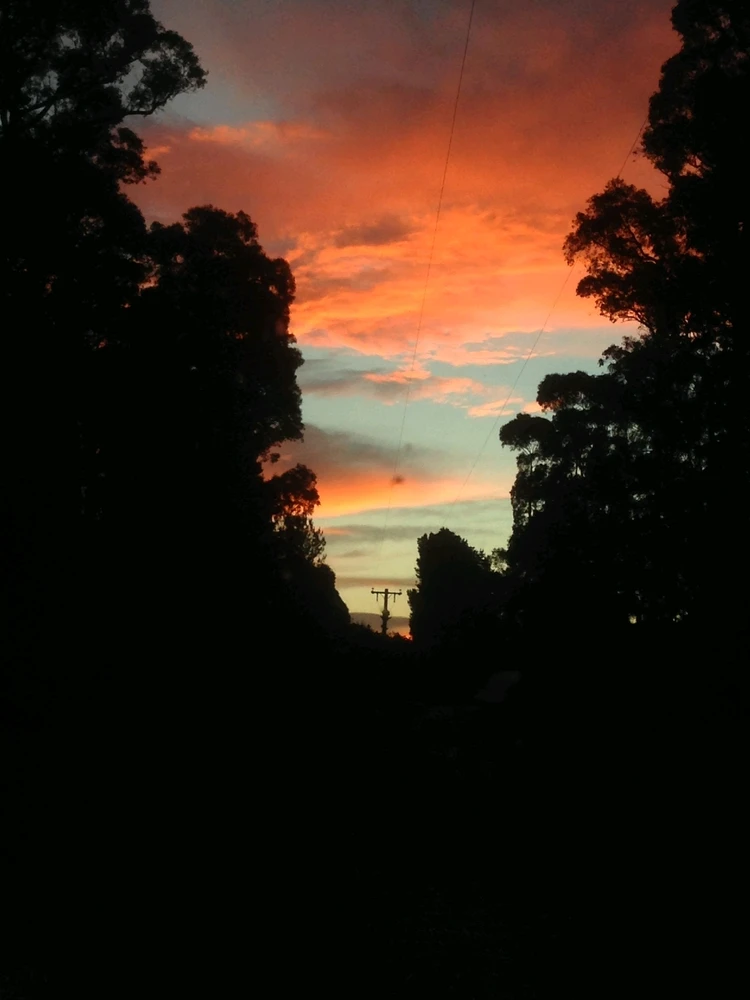 GIF uploaded by Chris