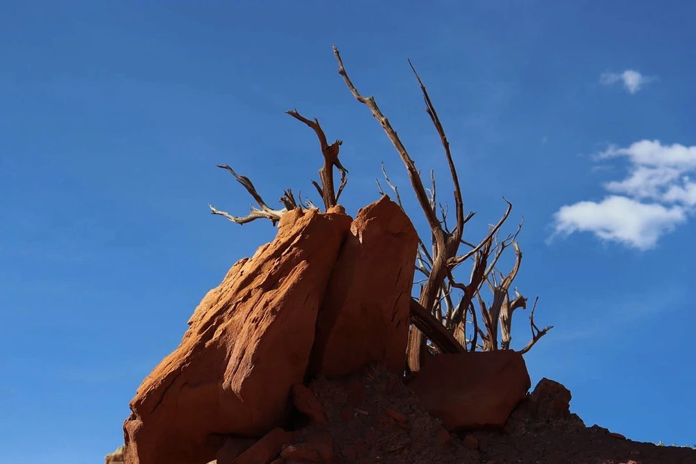 GIF uploaded by Merrill